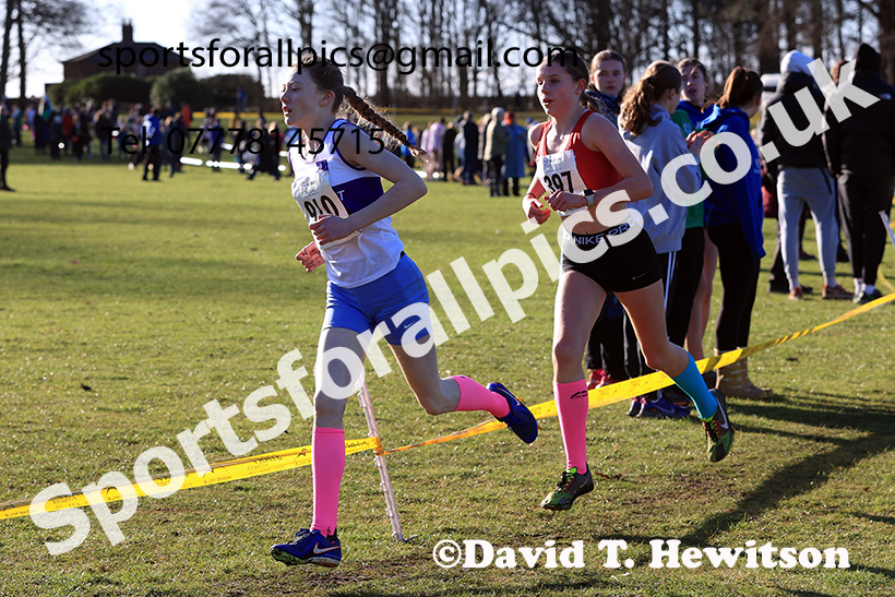 Girls under-13s 2025 Northern Cross Country Champs, Tatton Park, Knutsford, Cheshire. Photo: David T. Hewitson/Sports for All Pics